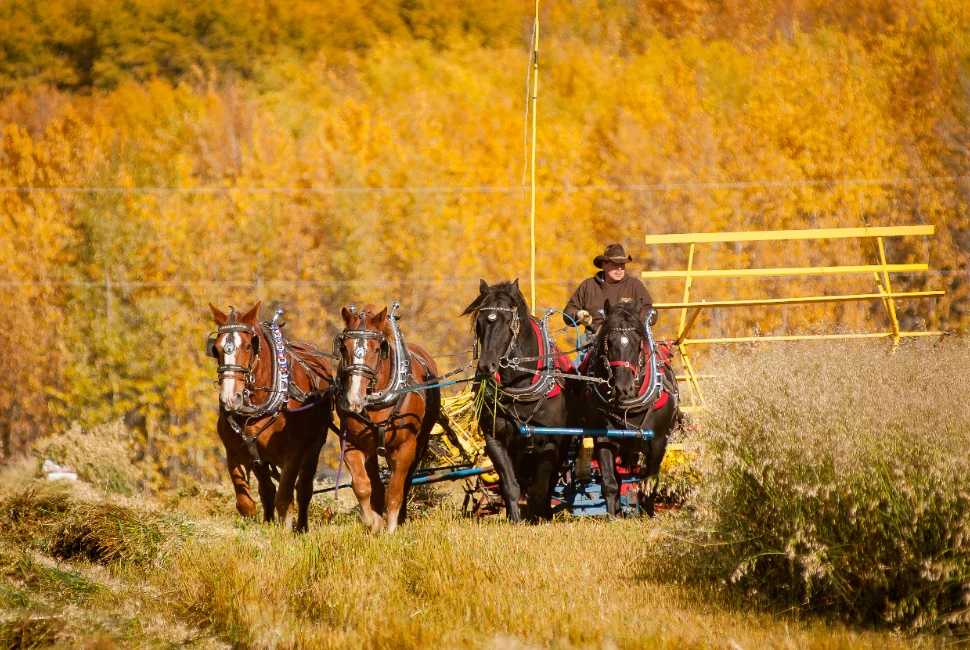 Discovering Hudson Hope, BC: A Guide to the Charming City and its Weather